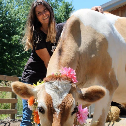 Asha’s Farm Sanctuary - Thumbnail