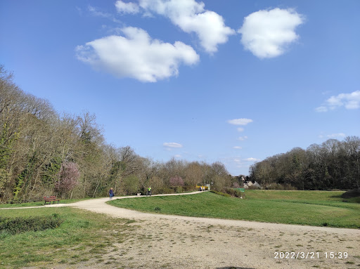 Forêt Communale de Gif-sur-Yvette - Thumbnail