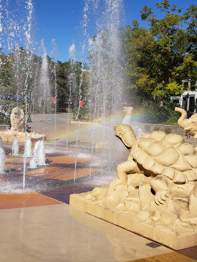 Coolidge Carousel - Visual