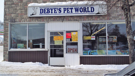 Debye's Pet World - Visual