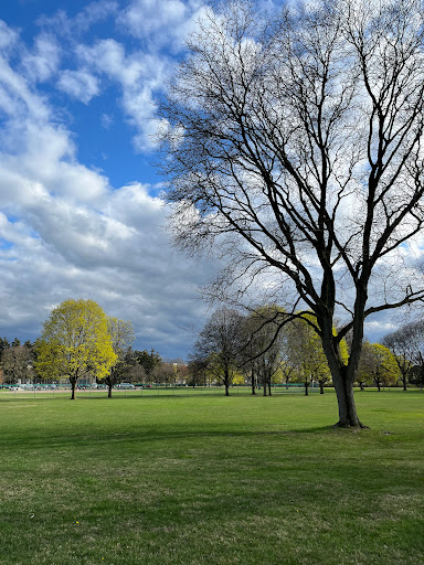 Poppleton Park - Visual