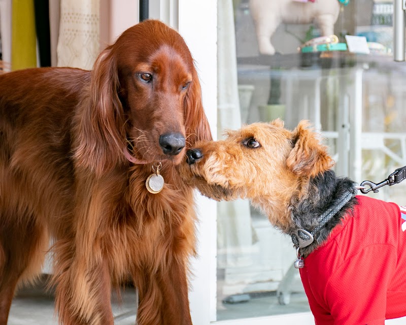 bloom / 福島市パセオ通り