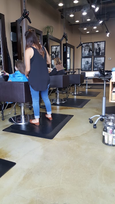 Photos of AOC Salon