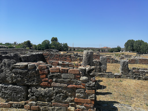 ELEA School of Parmenides (Zeno)