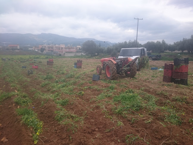 ΓΑΛΙΑΝΟ ΜΑΝΑΒΙΚΟ - Σούπερ μάρκετ