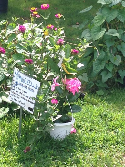 Photos of Donald W Patterson's Greenhouses