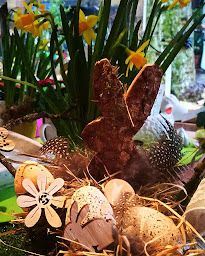 Photo n°25 de Aux Fleurs De Nice | Fleuriste Colmar à Colmar (Service de plantes d'intérieur)
