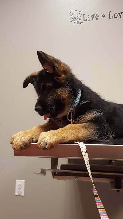 Photos of Guernsey Veterinary Clinic
