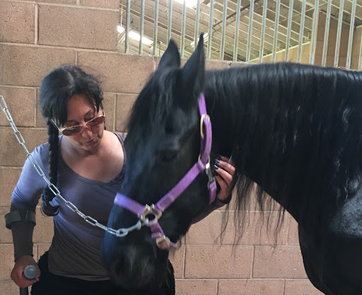 Chino Valley Equine Hospital - Thumbnail