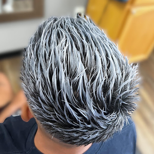 Elite Cuts - Visual