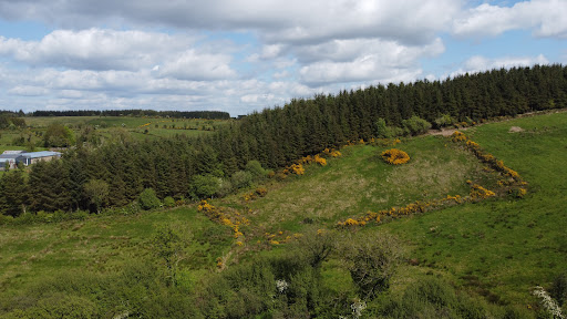 Nirvana Healing Centre | Massage