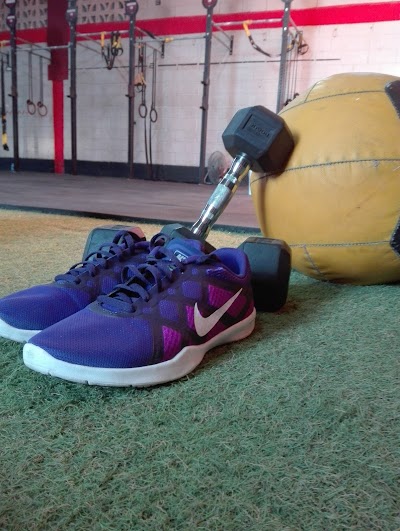 Photos of Tribu Fit Training