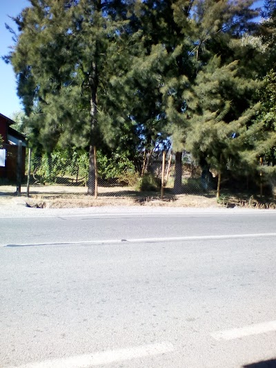 Photos of Loreto's Shop