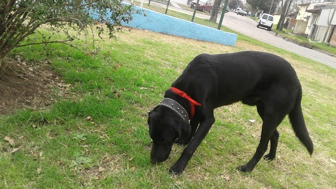 Plaza Parque Alvear, Author: Alejandro Guerrero