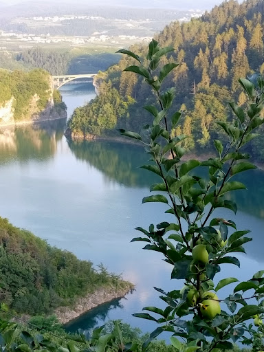 Punto Panoramico sul Lago di Santa Giustina - Thumbnail