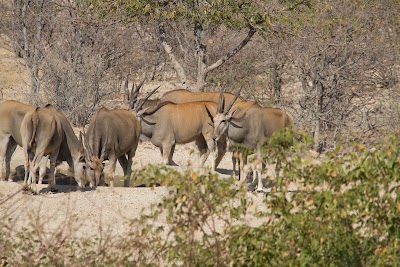 Photos of Shinde Camp (Ker & Downey Botswana)