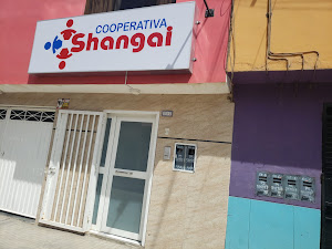 Cooperativa Shangai 2