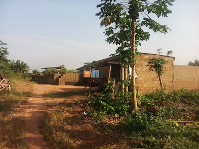 Photos of Pigeon & Egret Properties Limited