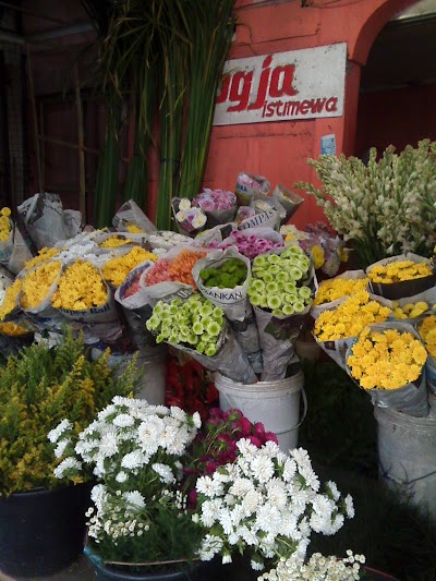 Photos of Sakura Florists