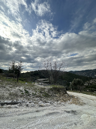ORHAN KAAN ÜZÜCEK DAĞ EVİ