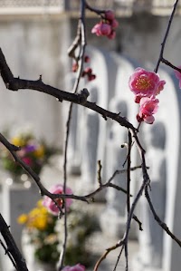 永代供養 六地蔵