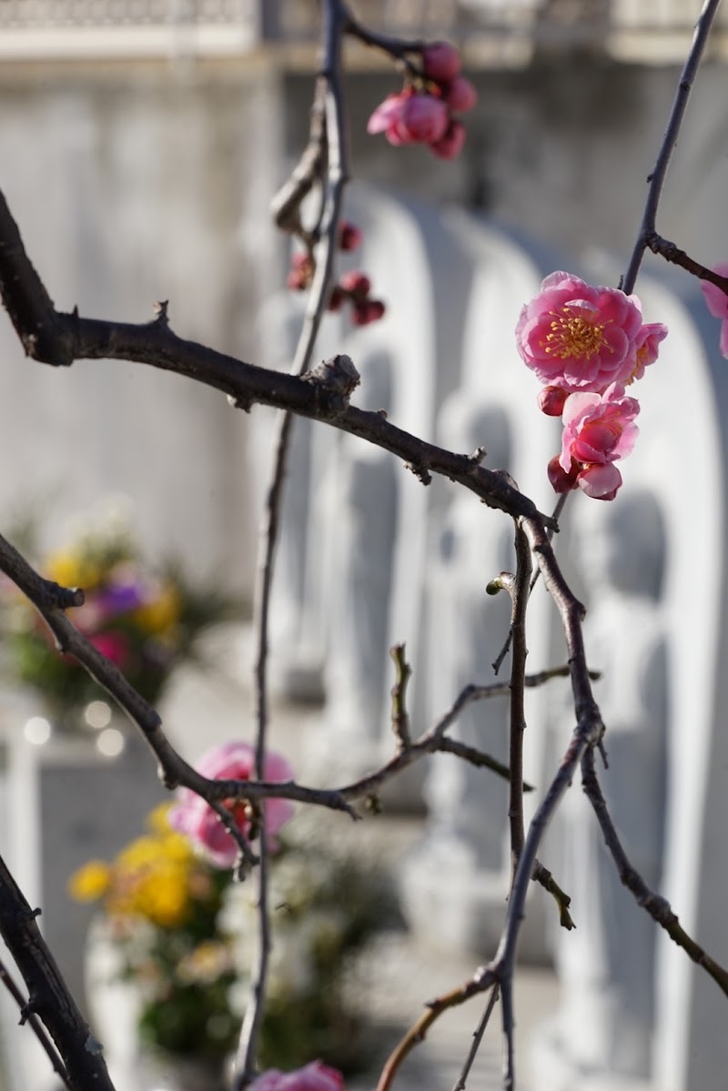 永代供養 六地蔵