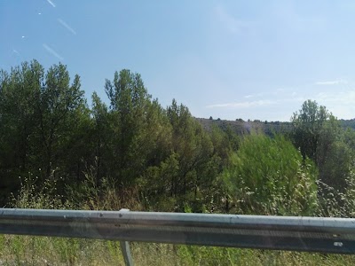 Photos of Restaurante Lago