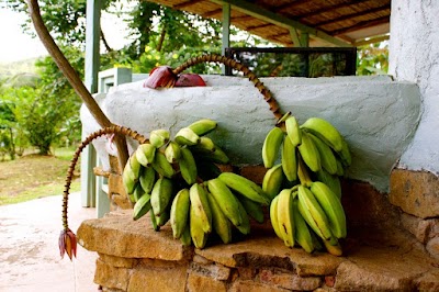 Photos of Beyond Vitality Nature Camp