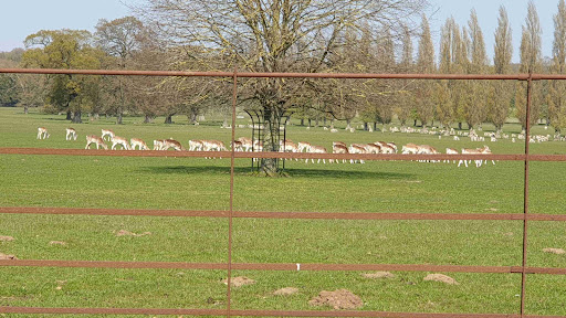 Revesby Estate