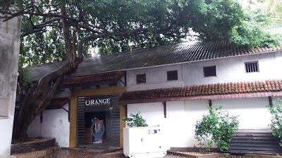 Photos of Orel Store