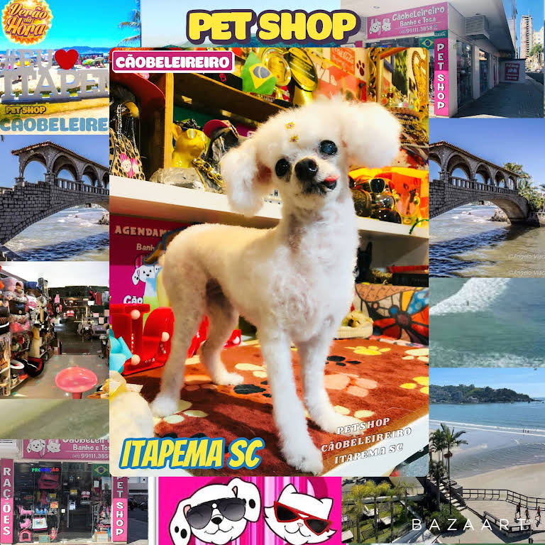 Cãobeleireiro Pet Shop Itapema - AQUI \☀️/ A VIBE  É BOA!!! VEM JUNTO  PARA O CÃOBELEIREIRO PET SHOP EM ITAPEMA SC EM MEIA PRAIA RUA 268 ESQUINA 2  AVENIDA!!! VEM!!! WATS