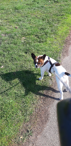 Parc pour Chien - Thumbnail