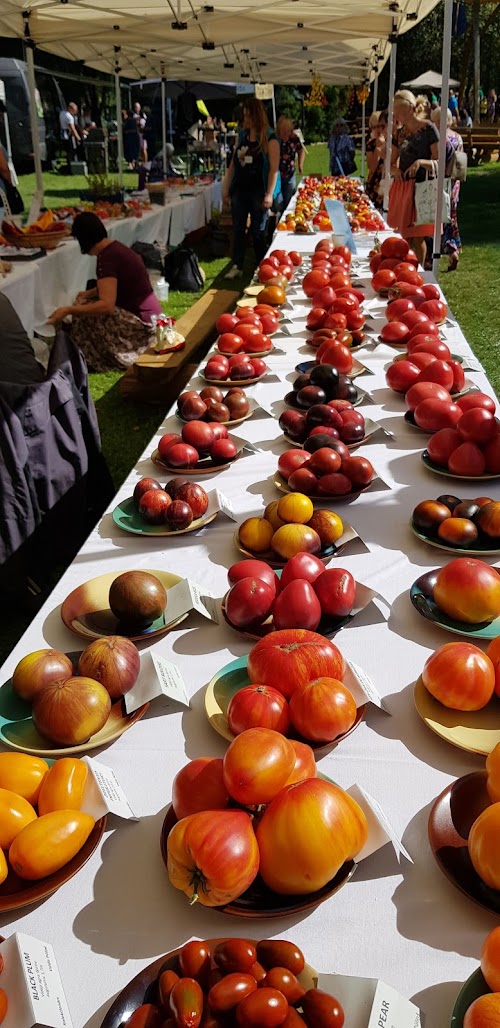 Brenguļu alus sēta