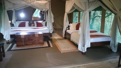 Photos of Mara Bush Camp