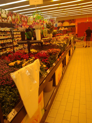 Kaufland Halle (Saale)-Südst, Gallery - Germany