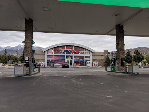 Ernie's Prostop - Visual