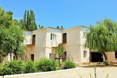 Photos of Silk Road Hostel