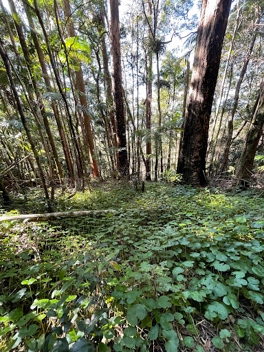Mount Matheson loop - Thumbnail