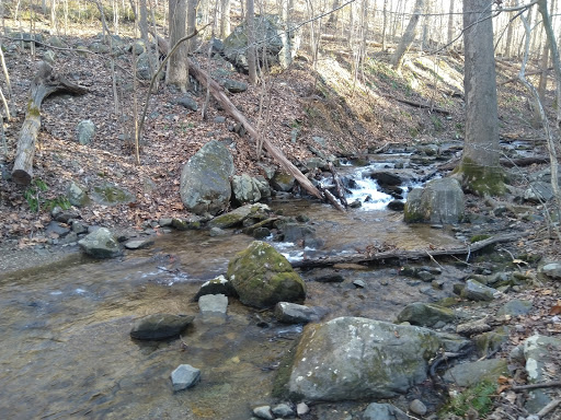 Spout Run - Visual