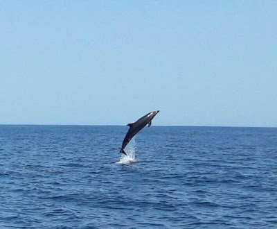 Photos of Natural Center Tours