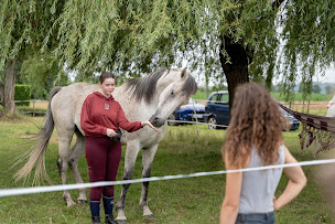 Photo n°16 de Miriam Dumaz - Thérapeute hypersensible à Pey (Entraîneur de chevaux)