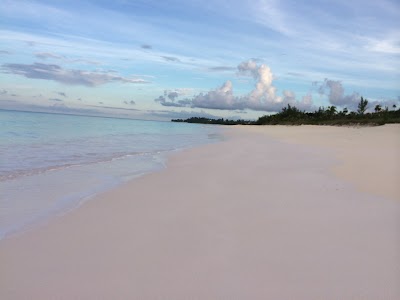 Photos of La Bougainvillea