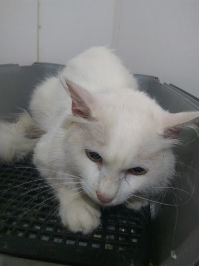 Photos of Cl&iacute;nica Veterinaria Bel&eacute;n