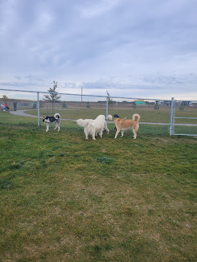 Beaumont dog park - all breeds Gallery - Canada