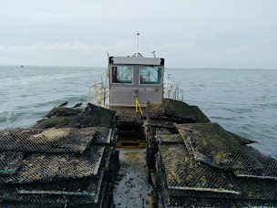 Photo n°71 de Les Petites Folies à Gujan-Mestras (Restaurant de fruits de mer)