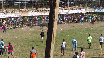 Photos of Corralejas De Santo Tomas