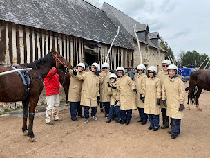 Photo n°7 de Sulky Experience Ecurie du Petit Paris à Pennedepie (Centre de sports d'aventure)
