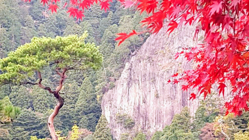 丸山荘 鳳来寺山頂店
