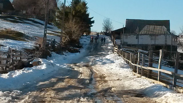 Mărișel