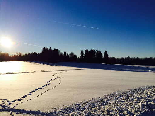 Gemeinde Diedorf-Rhön - Visual